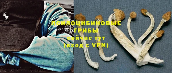 тгк Майский