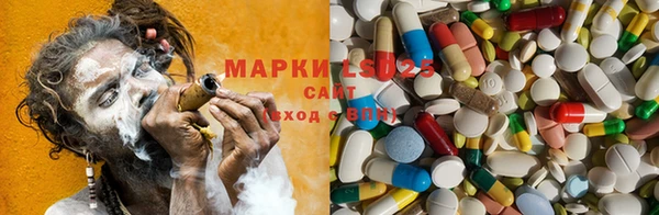 гашик Медвежьегорск