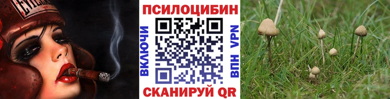 Псилоцибиновые грибы Cubensis  купить наркотик  Гаврилов Посад 